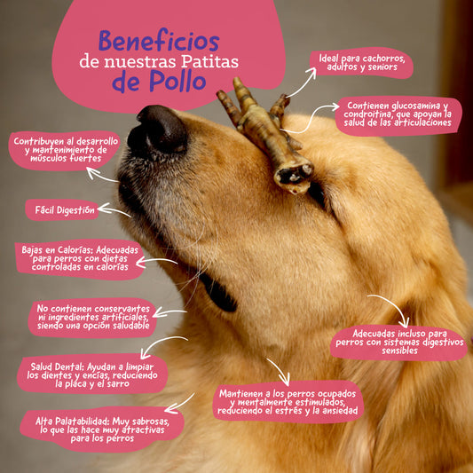 Patitas de Pollo (2 unidades)