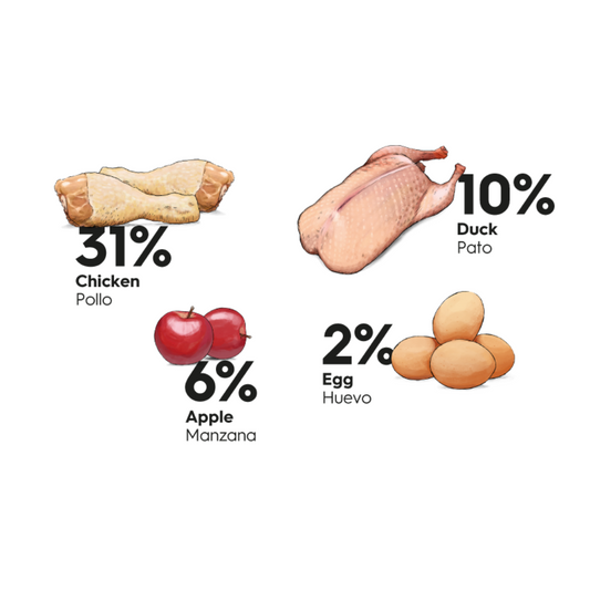 Fresko Cachorro Pequeño