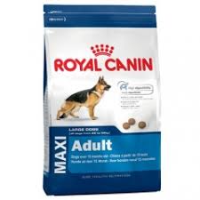 Maxi Adult - Royal Canin