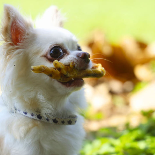 Patitas de Pollo (2 unidades)