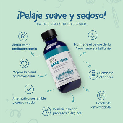 Safe-Sea: Omega