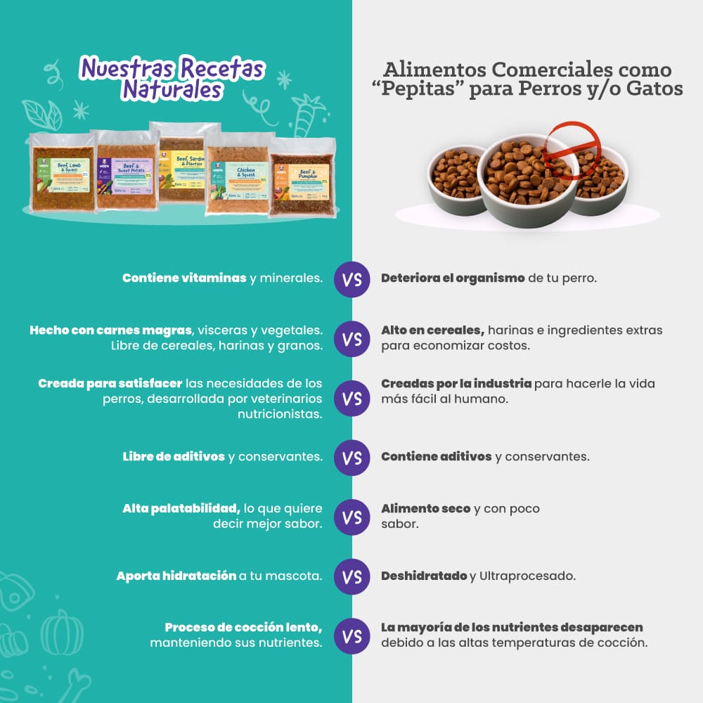 comida para perros premium Beef & Pumpkin