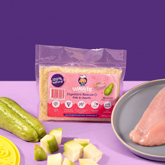 digestive-rescue-dog-food-pollo-chayote