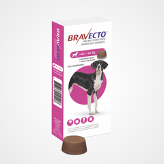 Bravecto para perros